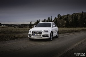 Audi_SQ5_3_small